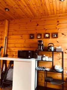 a kitchen with a counter with a microwave and a stove at Westkapelle appartement en vakantiehuis in Westkapelle