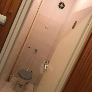 ein Bad mit WC und Toilettenpapier in der Unterkunft Mohi Private in Budapest