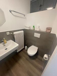 a bathroom with a white toilet and a sink at Natur & Ruhe in Prümzurlay in Prümzurlay +13 photos