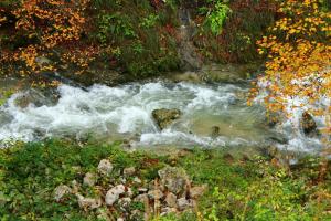 a stream of water with rapids in a forest at Auberge Des Chasseurs in Échenevex