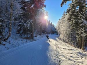 una persona que practica esquí de fondo por una carretera cubierta de nieve en Auberge Des Chasseurs, en Échenevex