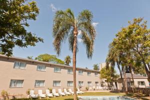 a palm tree in front of a building at La Mision Posadas in Posadas