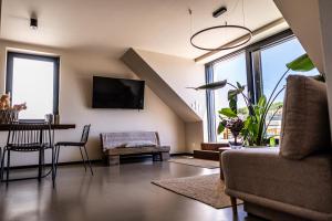 Televízia a/alebo spoločenská miestnosť v ubytovaní Rodinný apartmán s výhledem na zámek