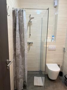 a bathroom with a shower and a toilet at LG Apartman Siófok in Siófok