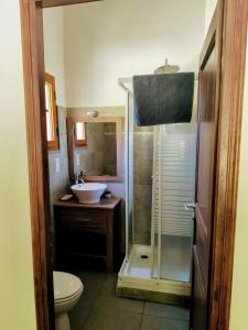 a bathroom with a shower and a toilet and a sink at Casa Stella in Olmeto