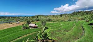 a field of green grass with a house in the middle at Niraka Home in Bebandem