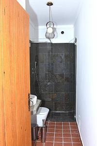 a bathroom with a shower and a toilet and a sink at Turismo Rural Pedremoura in Vila Ruiva