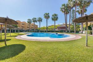 イスランティージャにあるApartamento Las Arenasのヤシの木が茂る公園内のスイミングプール