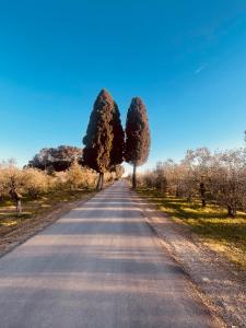 Paesaggio naturale nelle vicinanze della casa vacanze