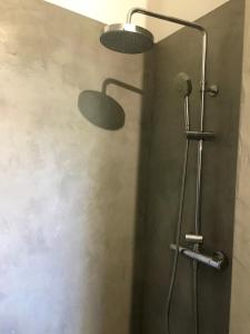 eine Dusche mit Duschkopf in einem Badezimmer in der Unterkunft Petite maison de charme - Paris - Rolland Garros - Versailles - Golf - Normandie in Garches