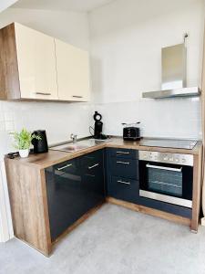 eine Küche mit schwarzen Schränken, einer Spüle und einem Herd in der Unterkunft SH-Apartments-Stilvolles Studio in der Altstadt in Erfurt