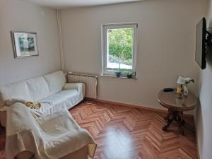 a living room with a couch and a table at IstraCycle in Lucija