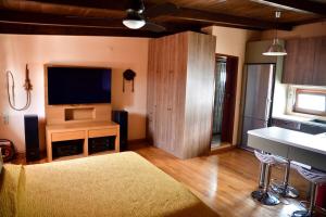 a living room with a flat screen tv and a couch at Panoramic deluxe penthouse in Thérissos