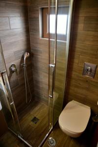 a bathroom with a shower with a toilet and a shower at Panoramic deluxe penthouse in Thérissos