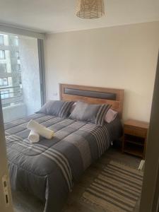 a large bed in a bedroom with a window at Departamento Santiago Centro Factura Empresas in Santiago