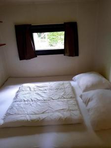 a bed in a room with a window at Boshuisje in Nutter