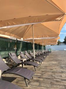 Φωτογραφία από το άλμπουμ του Garden Hotel σε Kropyvnytskyi