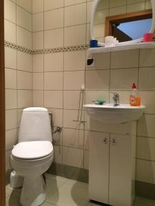 a bathroom with a toilet and a sink at Kufa Jama in Wisła