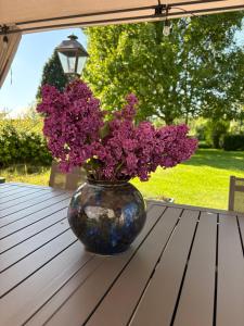 Zahrada ubytování Relais des combrailles