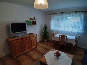 TV a/nebo společenská místnost v ubytování Ferienapartment Karle