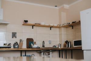 a kitchen with a counter and shelves on the wall at 4ua-хостел in Bratslav