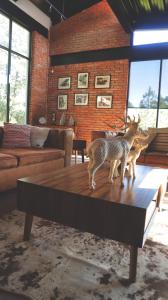 two fake deer standing on a coffee table in a living room at BIMBA en el corazón del bosque, Huasca in La Venta