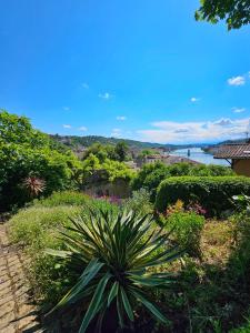 a plant in a garden with a view of a river at La Bâtie - Vue imprenable - Amazing view - Parking privé in Vienne +85 photos