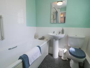 a bathroom with a sink and a toilet and a tub at Pen Y Bryn Bach in Harlech +30 photos