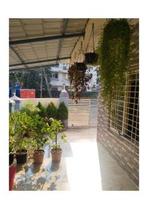 a patio with potted plants and a brick wall at YONA HomeStay in Alibag