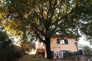 Foto dalla galleria di B&B Le Querce a Riano