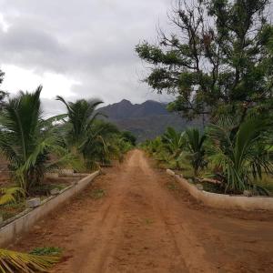 un chemin de terre avec des palmiers et une montagne dans l'établissement LBS Farmstay, à Alāndurai