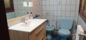a bathroom with a blue toilet and a sink at Apartamentos cañamares in Cañamares +32 photos