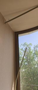 a window in a room with a view of a tree at 777tsrj in Muruntau