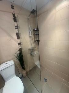 a bathroom with a toilet and a glass shower at STUDIO 46 South Pearl Homes in Sozopol