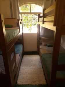 Postel nebo postele na pokoji v ubytování Jungla Hostel