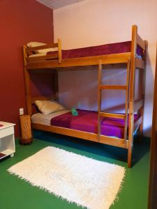 Postel nebo postele na pokoji v ubytování Jungla Hostel