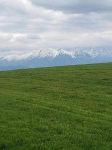 a green field with snow capped mountains in the background at Apartamenty HAWOK in Groń