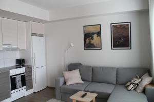 a living room with a gray couch and a kitchen at Teljänkatu 4 in Pori +3 photos