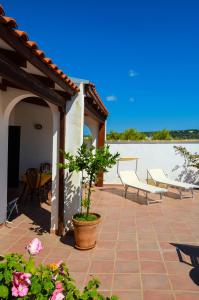 eine Terrasse mit Tisch, Stühlen und einer Pflanze in der Unterkunft Casa dell'Ospite in Santa Maria di Leuca