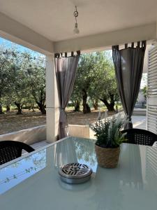 Κήπος έξω από το Apartment Mia