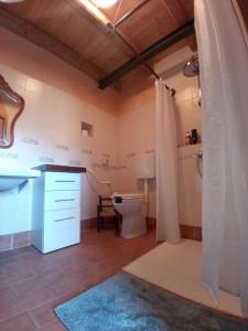 a bathroom with a toilet and a sink at Momo 1741 - 4BR Historic stone house in the Apennines in San Martino