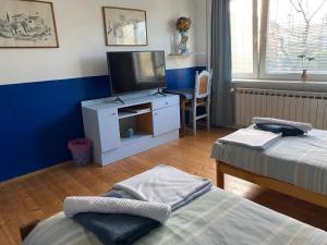 Postel nebo postele na pokoji v ubytování Apartment Hiža 38