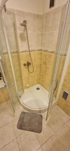 Ένα μπάνιο στο T4 Rare dans le centre d'Aix,terrace, parking, elevator +8 φωτογραφίες