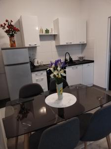 Kuchyňa alebo kuchynka v ubytovaní Apartments Mirijana