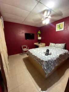 Кровать или кровати в номере Windmill Hostal