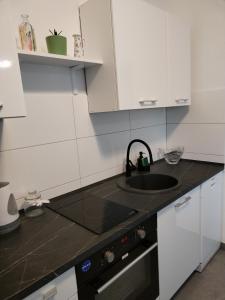 Kuchyňa alebo kuchynka v ubytovaní Apartments Mirijana