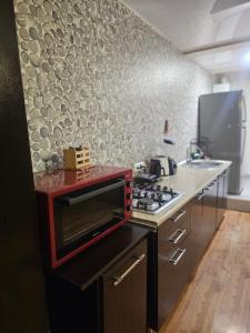 Kuchyň nebo kuchyňský kout v ubytování Guest House Mao