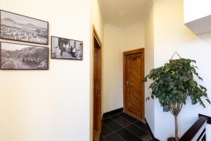Fotografie z fotogalerie ubytování Legend Home Sapa v destinaci Sa Pa