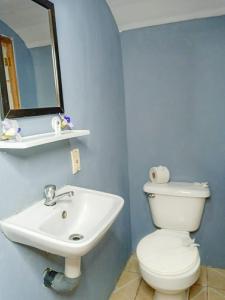 Gallery image of Hospedaje Combi dream bird in Guanacaste