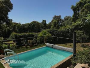a swimming pool in a yard with trees at Villa CasaFiora in Bastelicaccia